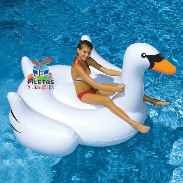 El cisne flotante