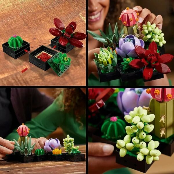 LEGO 10309 Icons Suculentas, Maqueta de Plantas Artificiales para Construir, Decoración para Casa, Manualidades para Adultos, Colección Botanical, Kit de Ramo de Flores, Regalo para Mujeres y Hombres - Imagen 4