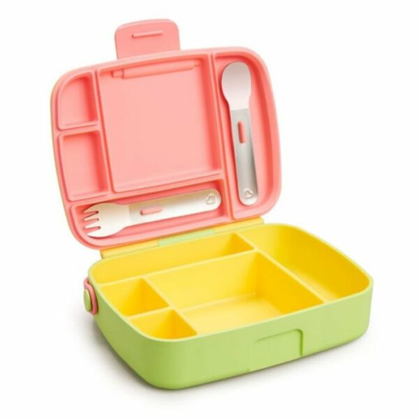 Munchkin lunch Bento Box verde