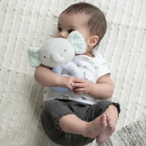 Ingenuity Sonajero aro y peluche suave el elefante Van, a partir del nacimiento