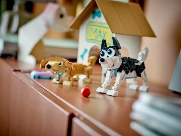 Perros Adorables
Sets 3 en 1 Creator 31137 - Imagen 4
