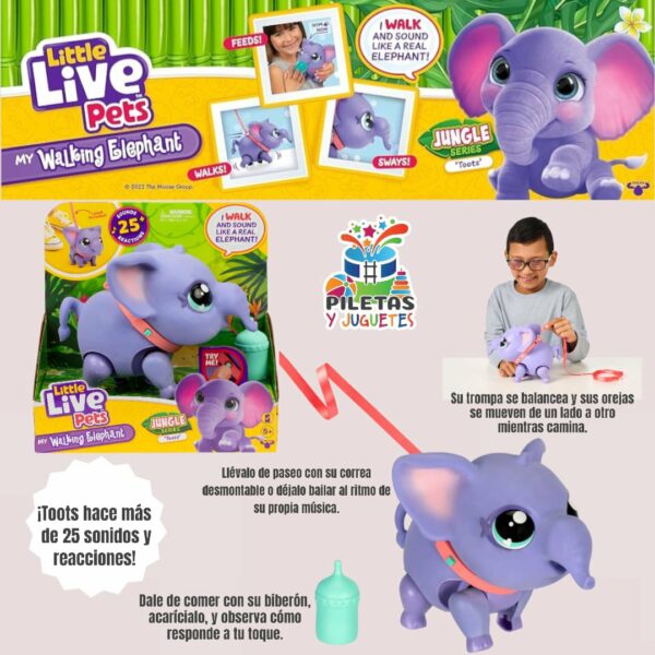 Litle live Elefante 🥰🥰