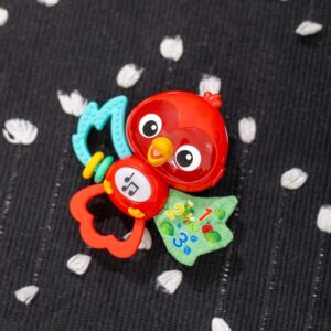 Baby Einstein Roxys Bright Flight - Juguete musical para bebé y mordedor, reproduce sonidos reales de pájaros con más de 10 melodías, multisensorial, a partir de 3 meses