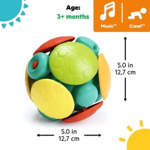 Bright Starts Juguete de bola de actividad Wobble Bobble, juguete de gateo para bebés y niños pequeños, sonidos y texturas interactivos, a partir de 3 meses