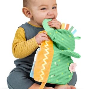 LIBRO INGENUITY SUAVE CALM SPRINGS CON ACTIVIDADES